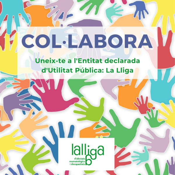 Donació per l'Entitat Pública La Lliga (40€)