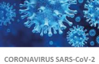 Coronavirus imagen-letras web